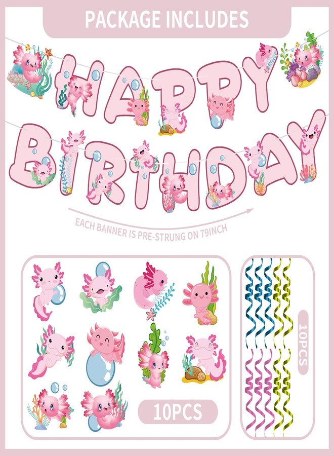 iPartyGo Axolotl Happy Birthday Banner - 12PC Pink Birthday Decor Backdrop Sign Party Supplies Set Cute Animals Photo Background Supplies Hanging Swirls Decorations Girls Boys Women Men Children Kids - Image 5